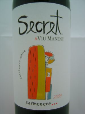 Viu Manent Secret Carmenere 2018 Valle de Colchagua, Rotwein, trocken, 0,75l